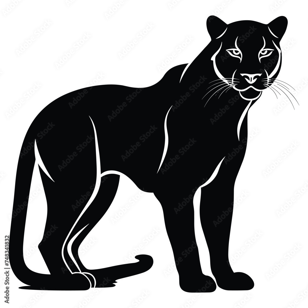 Cougar black Silhouette vector