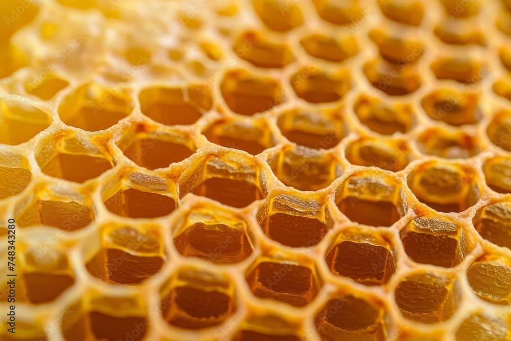 This vibrant close-up shot captures the geometric perfection of a honeycomb, with golden hues and light reflections enhancing its natural beauty This vibrant close-up shot captures the geometric perfection of a honeycomb, with golden hues and light reflections enhancing its natural beauty