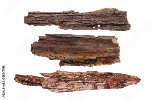 Set green bulb grass isolated on white background and texture, clipping	