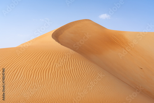 Large sand dune in the Rub al Khali desert, Abu Dhabi, United Arab Emirates © eyetronic