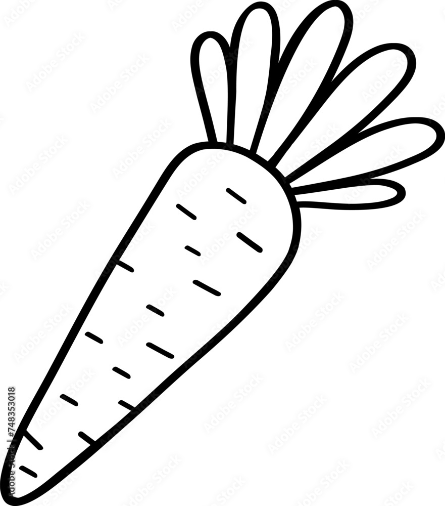 Vector illustration of a carrot. A ripe vegetable hand-drawn on a white background. Contour drawing. Organic dietary products. Monochrome drawing. For menus, farmers market, grocery, store, printing. Vector illustration of a carrot. A ripe vegetable hand-drawn on a white background. Contour drawing. Organic dietary products. Monochrome drawing. For menus, farmers market, grocery, store, printing.