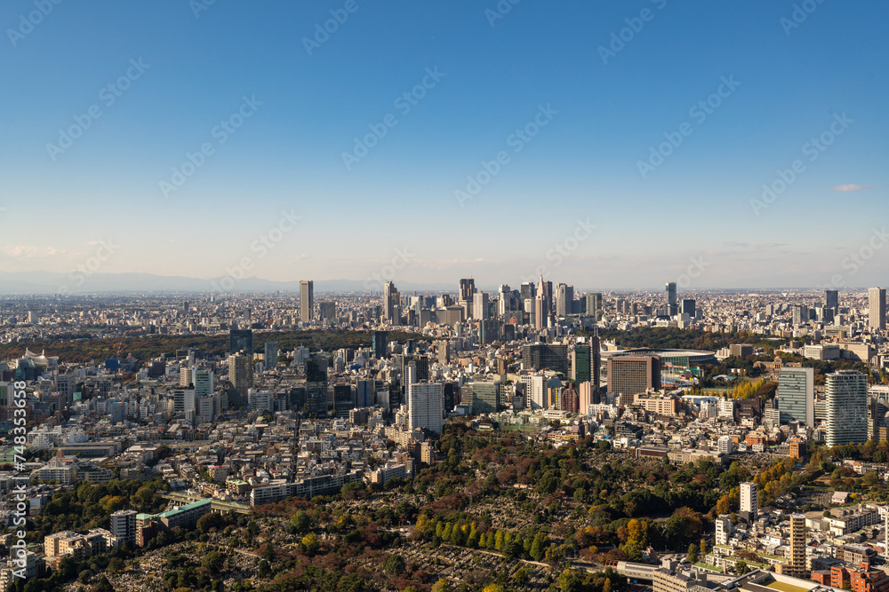 Tokyo Shinjyuku cityscape at daytime