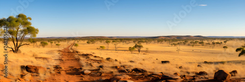 Expansive Australian Outback with Breathtaking Landscape and Endless Horizon