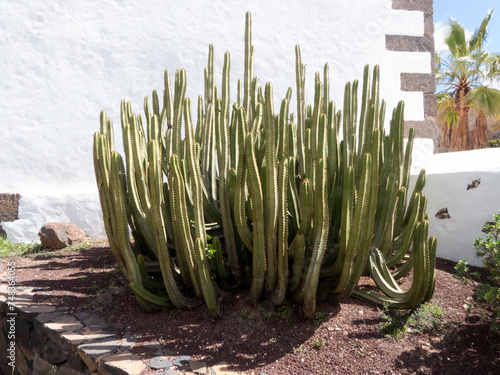 Fuertventura – Betancuria, ehemalige Hauptstadt von Fuerteventura photo