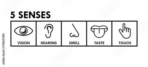 5 senses design template illustration