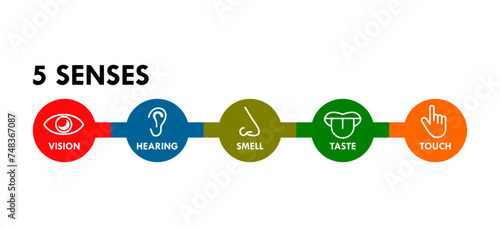 5 senses design template illustration