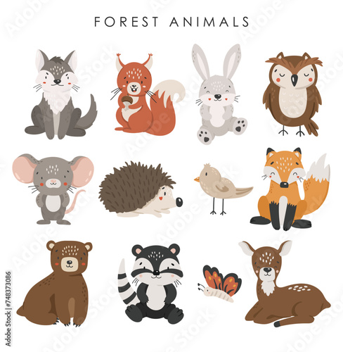 Forest animals vector, Abstract baby animals vector, cute animals isolated, adorable forest animals, kids vector illustration