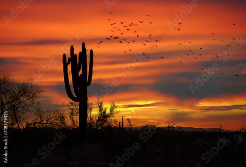 Sunset at McDowell Sonoran Preserve in Arizona