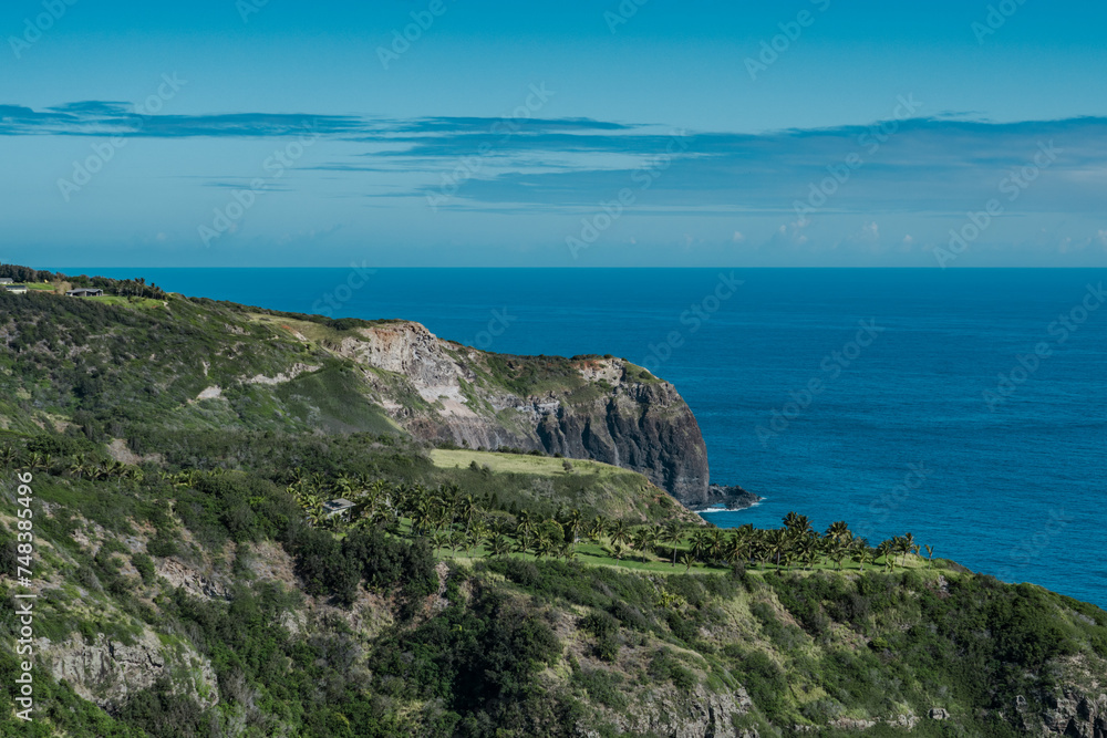Kahekili Hwy, Wailuku, Maui Hawaii.  The coconut tree (Cocos nucifera) is a member of the palm tree family (Arecaceae) and the only living species of the genus Cocos.