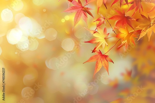 Web banner design for the autumn season Featuring red and yellow maple leaves with soft focus light and bokeh effect Ideal for end-of-year activities and promotions
