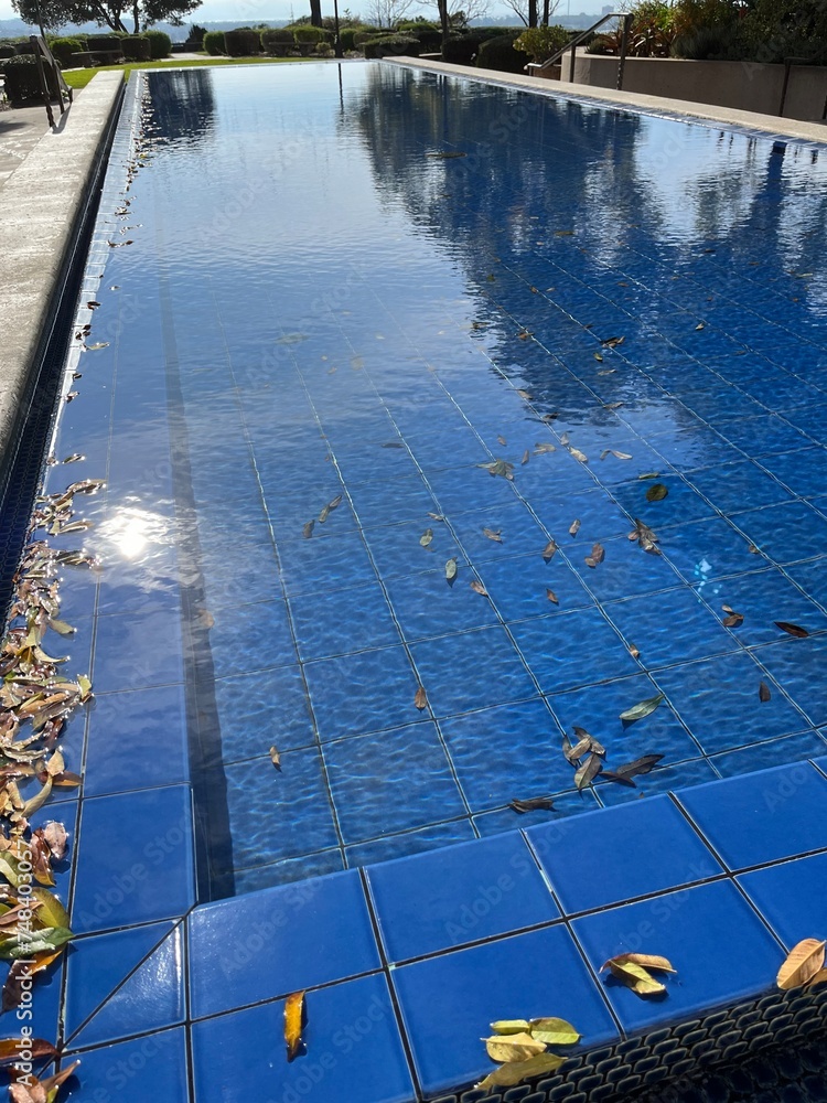 Reflective Pool Detail