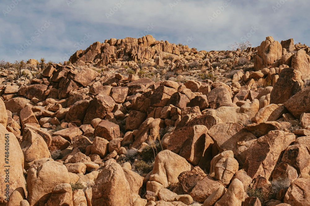 formation in the desert