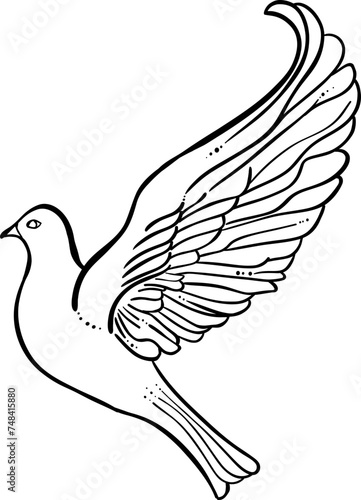 Fototapeta Naklejka Na Ścianę i Meble -  A white dove of peace in flight, a symbol of love and freedom, illustrated with flowing lines and graceful wings