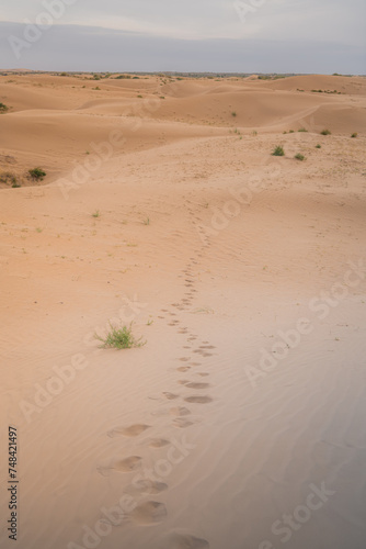 The sand hills in Ba Dan Ji Lin desert of Inner Mongolia, China