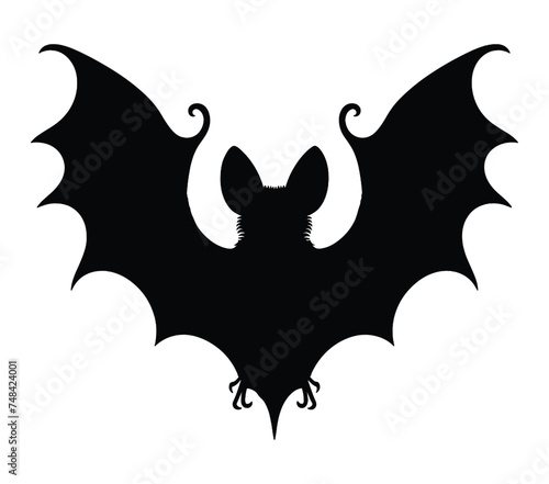 Aba Roundleaf Bat vector illustration on white background.