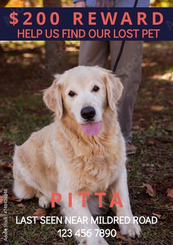 Fototapeta Composition of help us find our lost pet pitta text over dog and owner in park