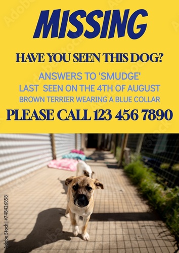 Composition of poster with missing have you seen this dog text over dog on yellow background