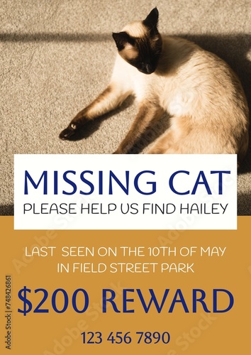 Composition of poster with missing cat text over cat on orange background