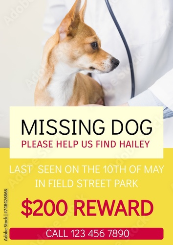 Composition of poster with missing dog text over dog on yellow background