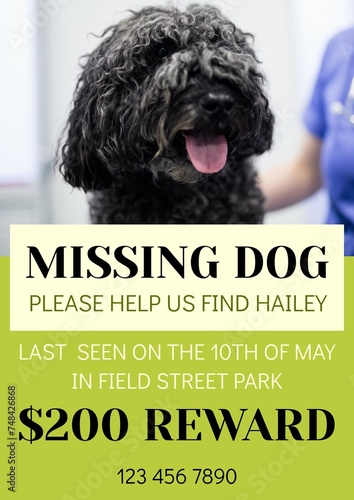 Composition of poster with missing dog text over dog on green background