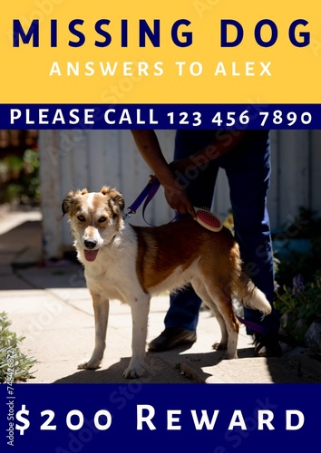 Composition of poster with missing dog text over dog and owner on yellow background