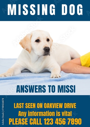 Composition of poster with missing dog text over dog on blue background