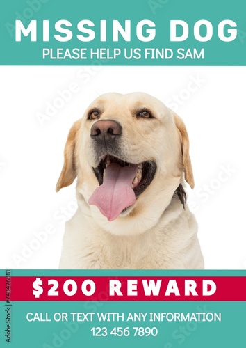 Composition of poster with missing dog text over dog on green background