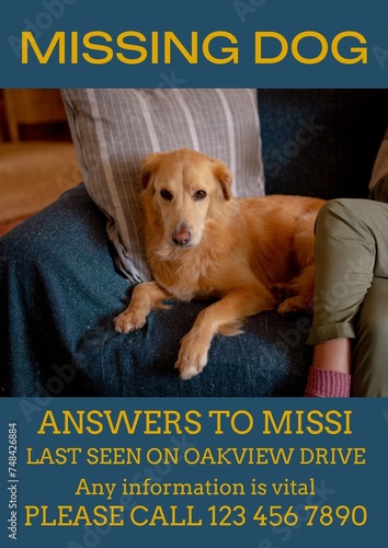 Composition of poster with missing dog text over dog lying on sofa on blue background