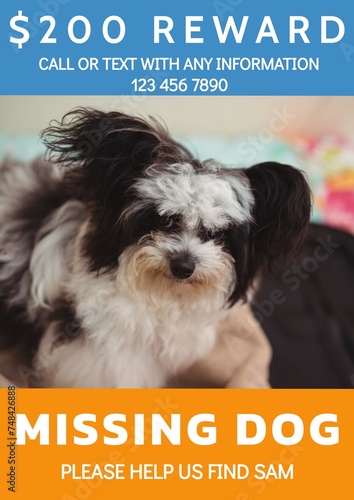 Composition of poster with missing dog text over dog on orange background