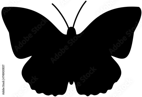 butterfly silhouette Vector Illustration black