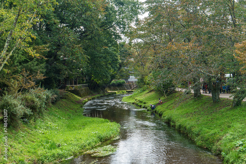 Fototapeta Naklejka Na Ścianę i Meble -  穏やかな流れる小川の風景