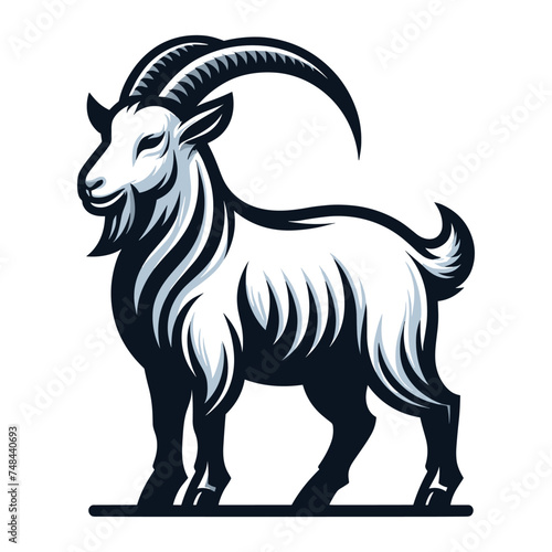 Goat full body vector illustration, farm pet, animal livestock, for butchery meat shop and dairy milk product, design template isolated on white background