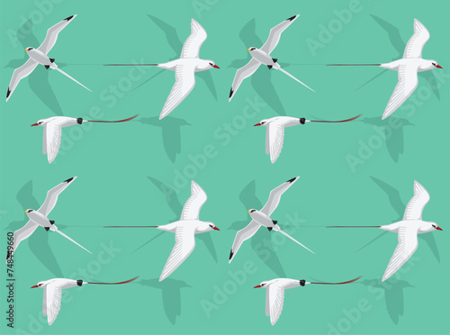 Bird Tropicbird Cute Seamless Wallpaper Background