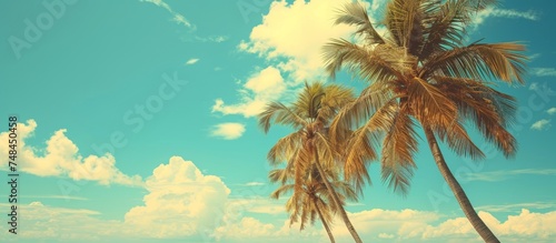Serene tropical paradise with a couple of gorgeous palm trees on a pristine sandy beach