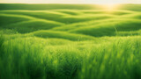 grass-carpet-extends-into-the-horizon-varying-shades-of-green-dew-drops-reflecting-morning-sunligh