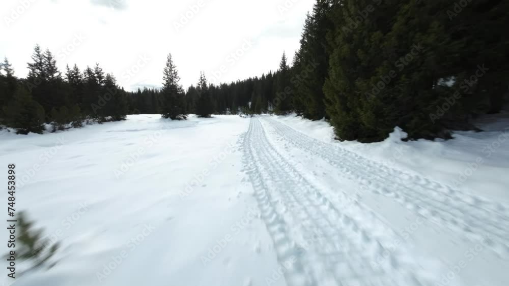 Snow-Covered Landscape With Dense Pine Trees At Palù Lake, Valmalenco Italy. FPV Snow-Covered Landscape With Dense Pine Trees At Palù Lake, Valmalenco Italy. FPV
