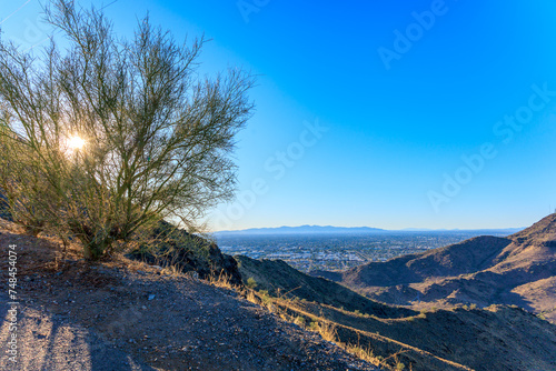 Shining Sun thru Palo Verde tree and distant view of the Valley of the Sun with  Glendale, Peoria and Phoenix from North Mountain Park, Arizona, backlit shot in late afternoon photo