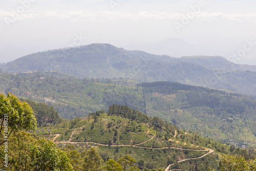 Views across the tea plantations from Lipton’s Seat in the Nuwara Eliya District, Central Province of Sri Lanka photo