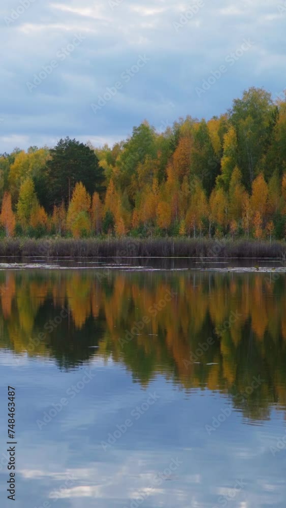 A landscape view of the forest lake and the autumn forest. Autumn nature. The natural landscape. Vertical video for shorts. A landscape view of the forest lake and the autumn forest. Autumn nature. The natural landscape. Vertical video for shorts.