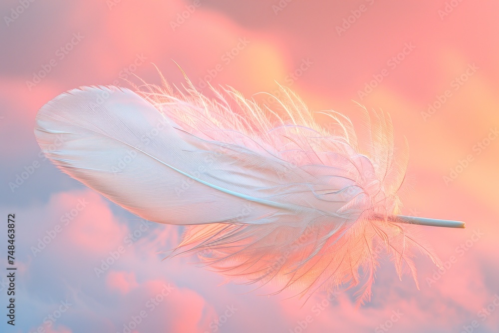 Naklejka premium Delicate pink feather against a soft coral sky with wispy clouds.