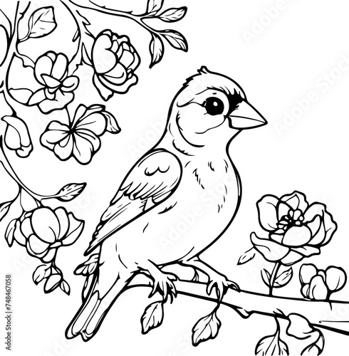 Hand drawing coloring for kids and adults. Beautiful drawings with patterns and small details. Coloring pictures with bird in blooming tree branch, flowers. Vector