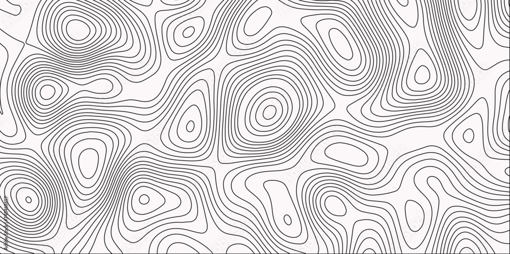 Fototapeta premium Topographic Map in Contour Line Light Topographic White seamless marble texture. Black-white background from Ocean topographic. Geographic mountain on a white Map topo Gradient multicolor.