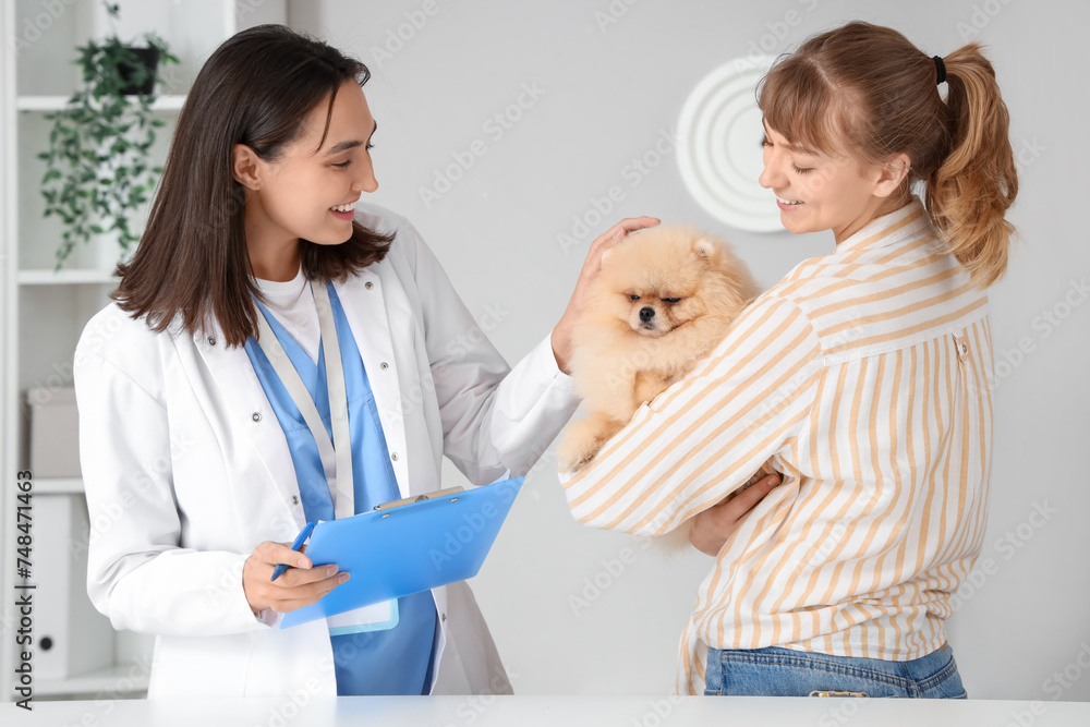 Owner brought her cute Pomeranian dog to veterinarian appointment in clinic Owner brought her cute Pomeranian dog to veterinarian appointment in clinic