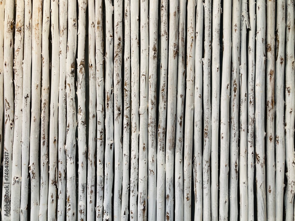 background of white-painted small rubber tree stalk wall in full frame shot background of white-painted small rubber tree stalk wall in full frame shot