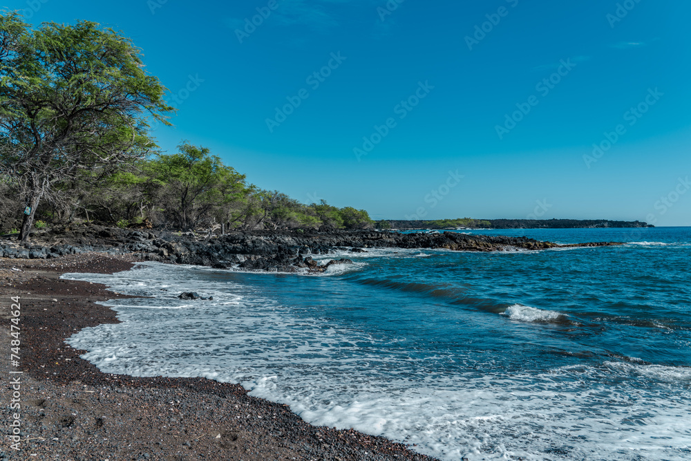  Kalua O Lapa lava and spatter deposits. Ahihi-Kinau Natural Area Reserve, Maui Hawaii. Neltuma pallida. Prosopis pallida is a species of mesquite tree.  La Perouse Bay. May‘s Trumpets


