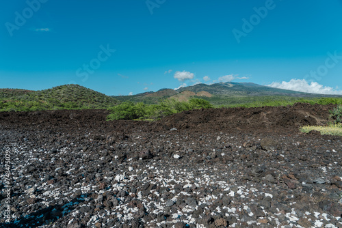  Kalua O Lapa lava and spatter deposits. Ahihi-Kinau Natural Area Reserve, Maui Hawaii 
