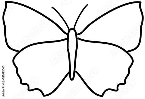 butterfly vector illustration flat color
