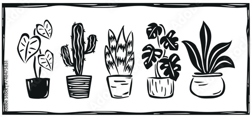 Set of potted plants in woodcut engraving style. Monstera, cactus, anthulio, houseplants. Vector illustration