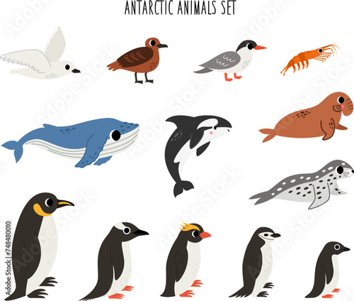 Set of cute Antarctic animals in cartoon style on white background.