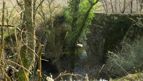 Old overgrown weathered stone bridge in Banos de Molgas Ourense Spain photo